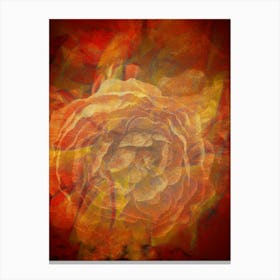 Img 3795 Multicoloured Abstract Flower #4 Canvas Print