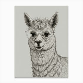 Llama With Glasses 3 Canvas Print