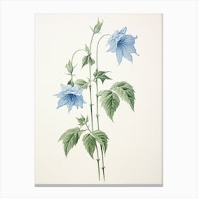 Kikyo Chinese Bellflower 1 Vintage Japanese Botanical Canvas Print