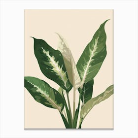 Dieffenbachia Plant Minimalist Illustration 4 Canvas Print
