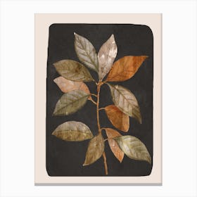 Abstract Minimal Plant Leaf 1 Canvas Print