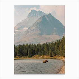 Moose In Lake Canvas Print