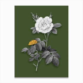 Vintage White Rose Black and White Gold Leaf Floral Art on Olive Green n.0040 Canvas Print