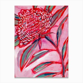 Pink And Red Botanical Print  Canvas Print