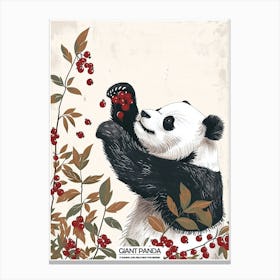 Giant Panda Standing And Reaching For Berries Poster 5 Canvas Print