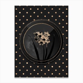 Shadowy Vintage Narcissus Easter Flower Botanical in Black and Gold n.0099 Canvas Print