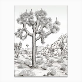  Detailed Drawing Of A Joshua Trees In Mojave Desert 3 Canvas Print