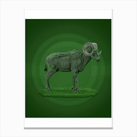 Ram Illustration 1 Canvas Print