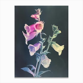 Iridescent Flower Foxglove 2 Canvas Print