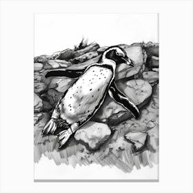 Emperor Penguin Sunbathing On Rocks 4 Canvas Print