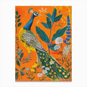 Spring Birds Peacock 9 Canvas Print