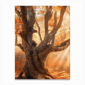 Autumn Tree In The Forest Canvas Print