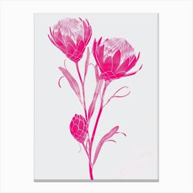 Hot Pink Protea 2 Canvas Print