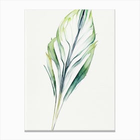 Yucca Leaf Minimalist Watercolour 2 Canvas Print