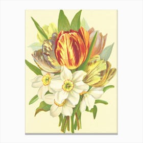 Tulips And Daffodils Canvas Print