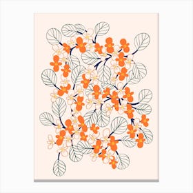 Begonia Blossom Canvas Print