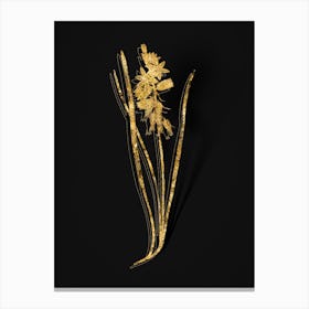Vintage Drooping Star of Bethlehem Botanical in Gold on Black n.0519 Canvas Print