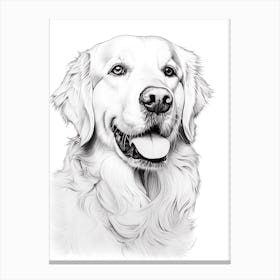 Golden Retriever Dog, Line Drawing 4 Canvas Print