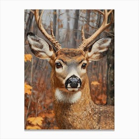 Deer In The Woods 8 Canvas Print