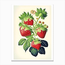 Alpine Strawberries, Plant, Vintage Botanical Canvas Print