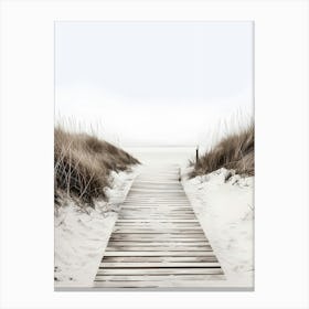 Path To The Beach Canvas Print