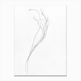 Drawing Of A Flower Canvas Print