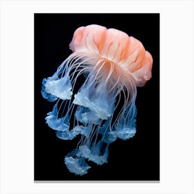 Lions Mane Jellyfish Realistic 7 Canvas Print