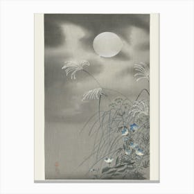 Grass And Flowers At Full Moon (1900 1930), Ohara Koson Canvas Print