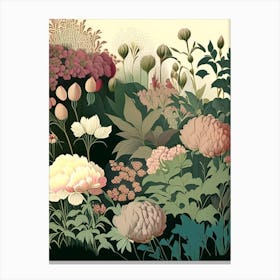 Mixed Perennial Beds Of Peonies 1 Vintage Sketch Canvas Print