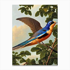 Swallow Haeckel Style Vintage Illustration Bird Canvas Print