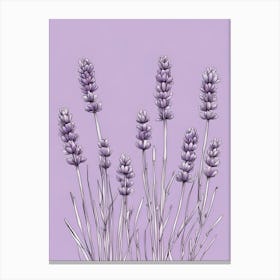 Lavender Flowers on Purple Canvas Print