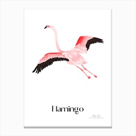 Flamingo. Long, thin legs. Pink or bright red color. Black feathers on the tips of its wings.6 Canvas Print