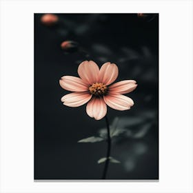 Pink Flower 2 Canvas Print