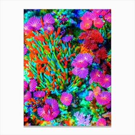 Acropora Acuminata Vibrant Painting Canvas Print