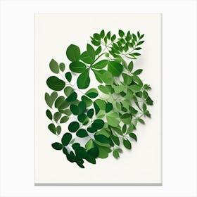 Thyme Leaf Vibrant Inspired 1 Canvas Print