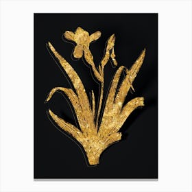 Vintage Hungarian Iris Botanical in Gold on Black Canvas Print