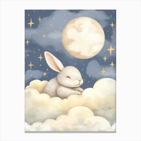 Sleeping Baby Bunny 6 Canvas Print