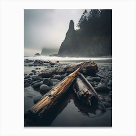 Driftwood On The Beach 4 Canvas Print