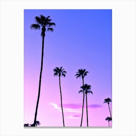 Pink And Purple Sunset With Palm Tree Silhouettes In Palm Springs California Canvas Print