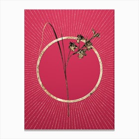 Gold Gladiolus Ringens Glitter Ring Botanical Art on Viva Magenta n.0016 Canvas Print