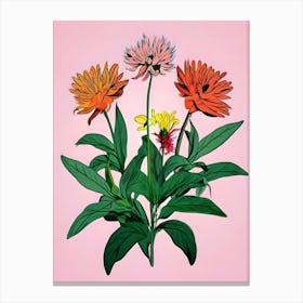 Zinnias Canvas Print