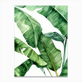 Green Banana Leaves Canvas Print