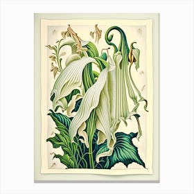 Angel'S Trumpet 1 Floral Botanical Vintage Poster Flower Canvas Print