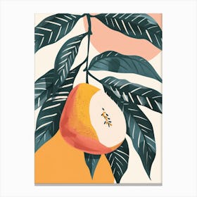 Guava Close Up Illustration 1 Canvas Print