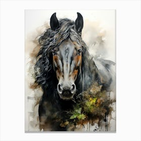 Black Horse Canvas Print