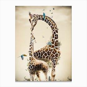 Giraffe Family Canvas Print