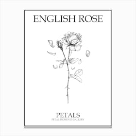 English Rose Petals Line Drawing 2 Poster Canvas Print