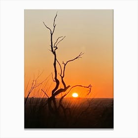 Sunset In Perth Canvas Print