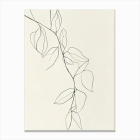 Branch Of Leaves 2 Canvas Print