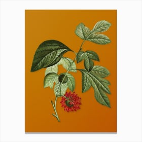 Vintage Paper Mulberry Flower Botanical on Sunset Orange n.0415 Canvas Print
